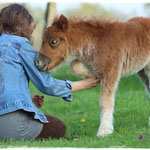 Coolstep Renesmee 24.04.14