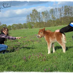 Coolstep Renesmee 13.04.14
