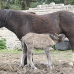 Leni 29.04.12