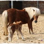 Coolstep Renesmee 06.04.14