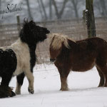 Elvy & Romanze