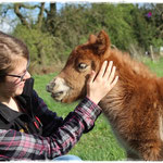 Coolstep Renesmee 13.04.14