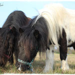 Bonny & Elvy