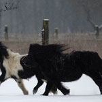 Elvy & Bonny