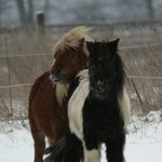 Elvy & Romanze