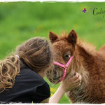 Coolstep Renesmee 01.05.14