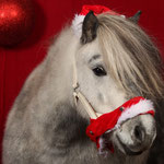 Sunni, Fotograf: Claudia Bublies