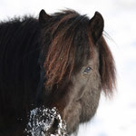 Lillifee Jan 2013