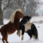 Romanze & Elvy
