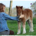 Coolstep Renesmee 24.04.14