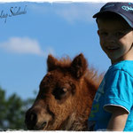 Coolstep Renesmee 25.05.14