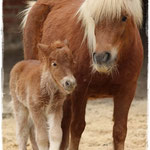 Coolstep Renesmee 05.04.14