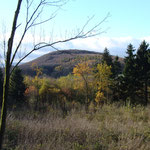 Blick auf den Malberg, Foto: E. Klein