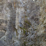 Nordwand, nur schwach erkennbar ist hier die Faltung, Foto: E. Klein