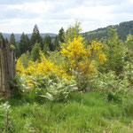 Blick vom Altenberg ins nördliche Siegerland; Foto: E.Klein