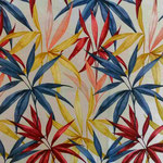 feuille coloré