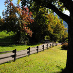Herbst