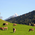Herbst