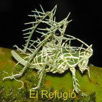 Markia sp.1 (lichen katydid), female nymph