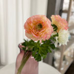 ラナンキュラス,Ranunculus,BOBCRAFT