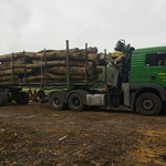 Transport de bois en collaboration avec l'entreprise André Pittet.