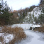 Winter im NSG Foto NABU B.E.