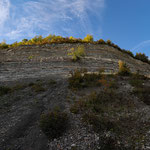 Herbst  2021 Foto NABU B.E.