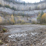 Neue Flächen für temporäre Gewässer 08.11.2024. Foto NABU B.E. 