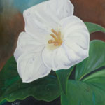 weiße Blume      (Technik: Öl   auf Leinwand   1,20 m X 90 cm)