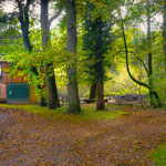 Wassermühle in Eitzmühlen im Herbst II
