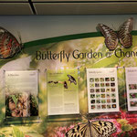 SIN Butterfly Garden