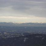 Linz and Alpen