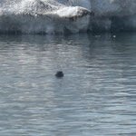 Baia di Jokulsarlon