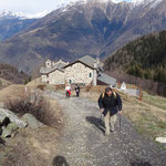 Un ultimo sforzo e siamo al Rifugio Cometti