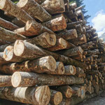 großer Holzstapel
