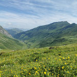 Tal zwischen Lauenenhorn und Wistätthorn