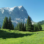 Große Scheidegg
