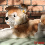 Steiff-Akita