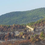 3. Platz (Oberstufe): "Kroatischer Altweibersommer" von Metin