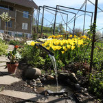 Metall Spalier Garten