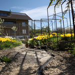 Gartengestaltung Metall Elemente