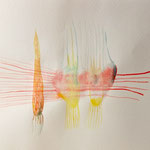 Transmutation, Aquarellfarbe auf Papier, 24 x 32 cm, Susanne Renner-Schulz, 2022