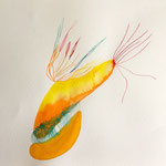 Modest, Aquarellfarbe auf Papier, 24 x 32 cm, Susanne Renner-Schulz, 2022