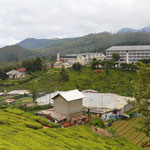 Teefabrik in Sri Lanka, Nuwara Eliya