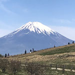 天候も良く、箱根山頂から見た富士山です。　Ｗさん