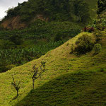 Jardín (Antioquia)