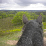 Tomm - Blick vom Boxberg