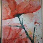 Mohnblume,Acryl auf Leinwand, 60x80 cm