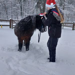 Blümchen und das Weihnachtsfoto... Joa, das kann noch dauern ;-)