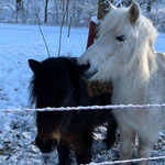 Ginger und Blümchen hätten gern ein Leckerli :-)